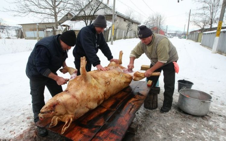 TRADIȚII Românii sărbătoresc azi Ignatul, obiceiul tăierii porcilor