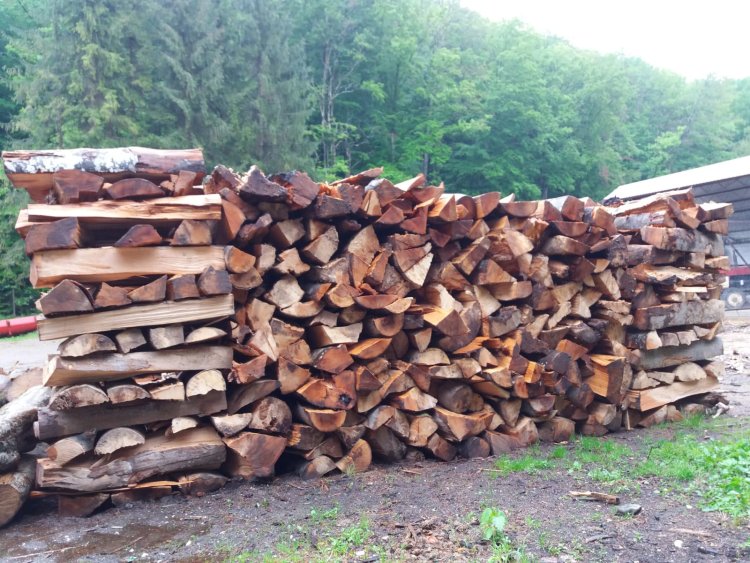 Guvernul plafonează prețul lemnului de foc la 500 de lei pentru un metru cub