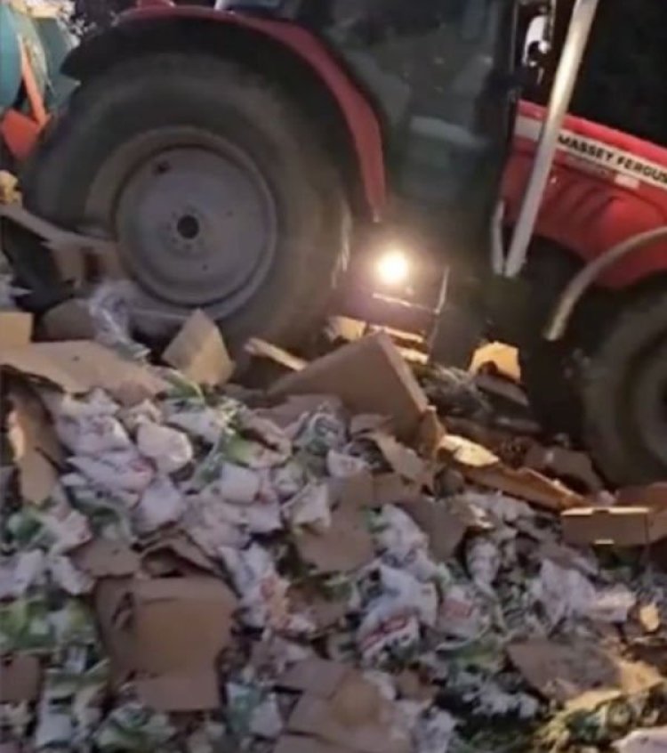 Carnea românească exportată în Franţa, distrusă cu tractoarele de fermierii furioşi