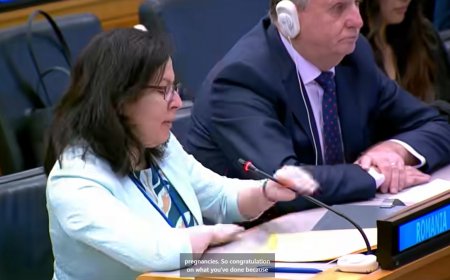 Declarație controversată a reprezentantei României la ONU: Felicitări pentru că 'ați pus capăt atâtor sarcini'