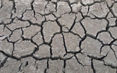 Vine seceta. Sud-vestul țării cel mai afectat