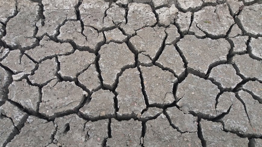Vine seceta. Sud-vestul țării cel mai afectat