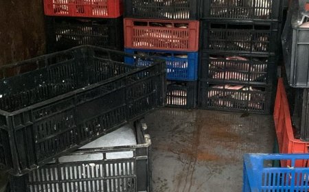 Aproape o jumătate de tonă de pește, confiscată azi la târgul din Poiana Mare