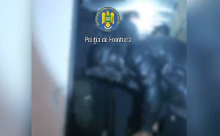 24 de migranți depistați de polițiștii de frontieră din Calafat