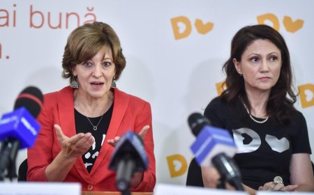 Oana Gheorghiu acuzată de incompatibilitate!