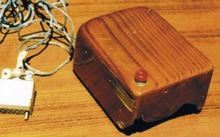 Cum arăta primul mouse din lume