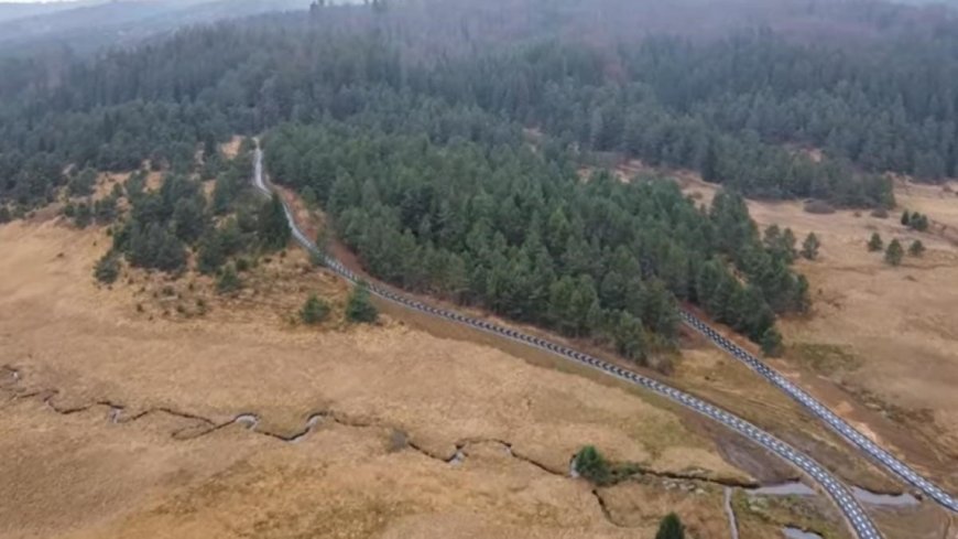 Un sat din România cu 14 oameni are pistă de biciclete asfaltată  care trece prin pădurea cu lupi și urși