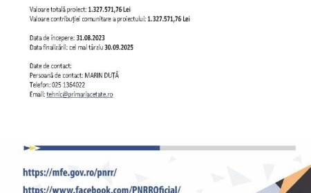 Dotare cu mobilier, materiale didactice și echipamente digitale pentru școlile din Cetate