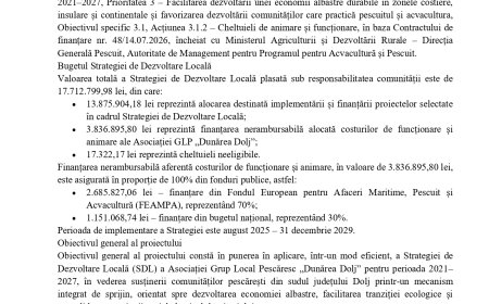 Comunicat de presă